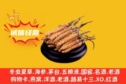 淮北相山区回收冬虫夏草